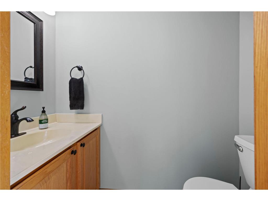 9804 Hamlet Lane S Cottage Grove MN 55016 7065071 image20