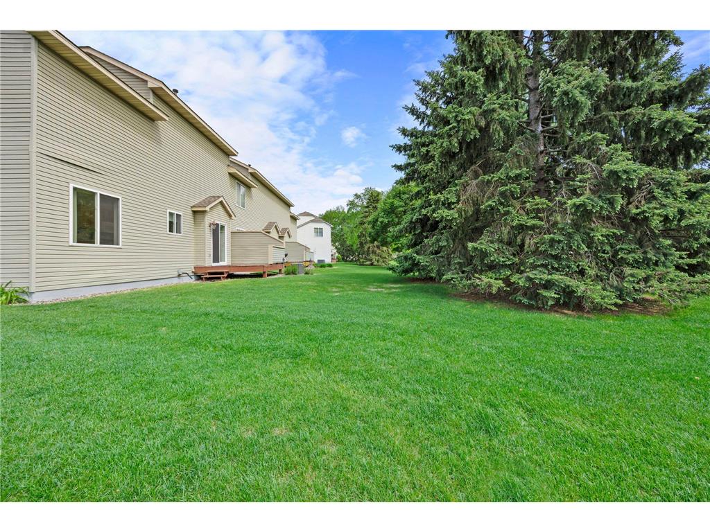9804 Hamlet Lane S Cottage Grove MN 55016 7065071 image47