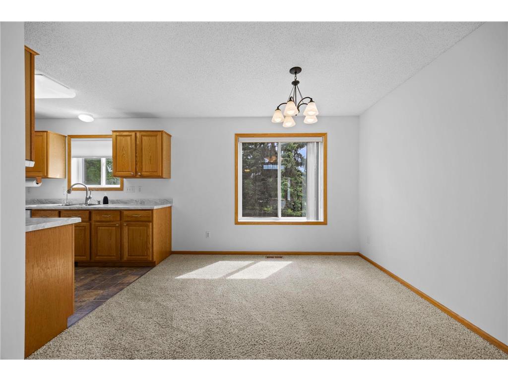 9804 Hamlet Lane S Cottage Grove MN 55016 7065071 image9