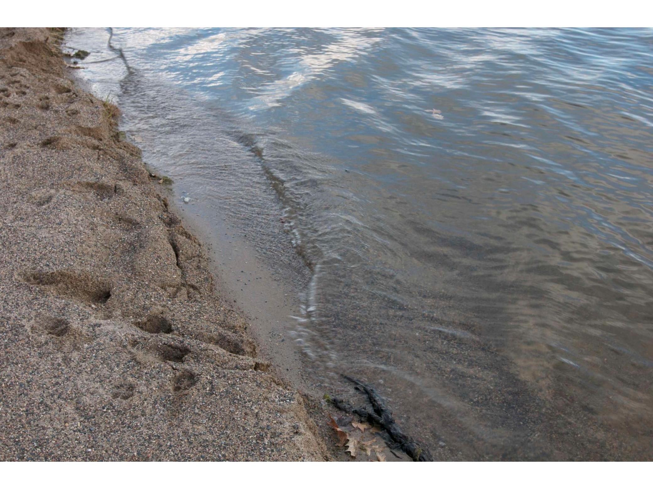 981 Peninsula Point Road Shakopee MN 55379 - O'Dowd 6161665 image12