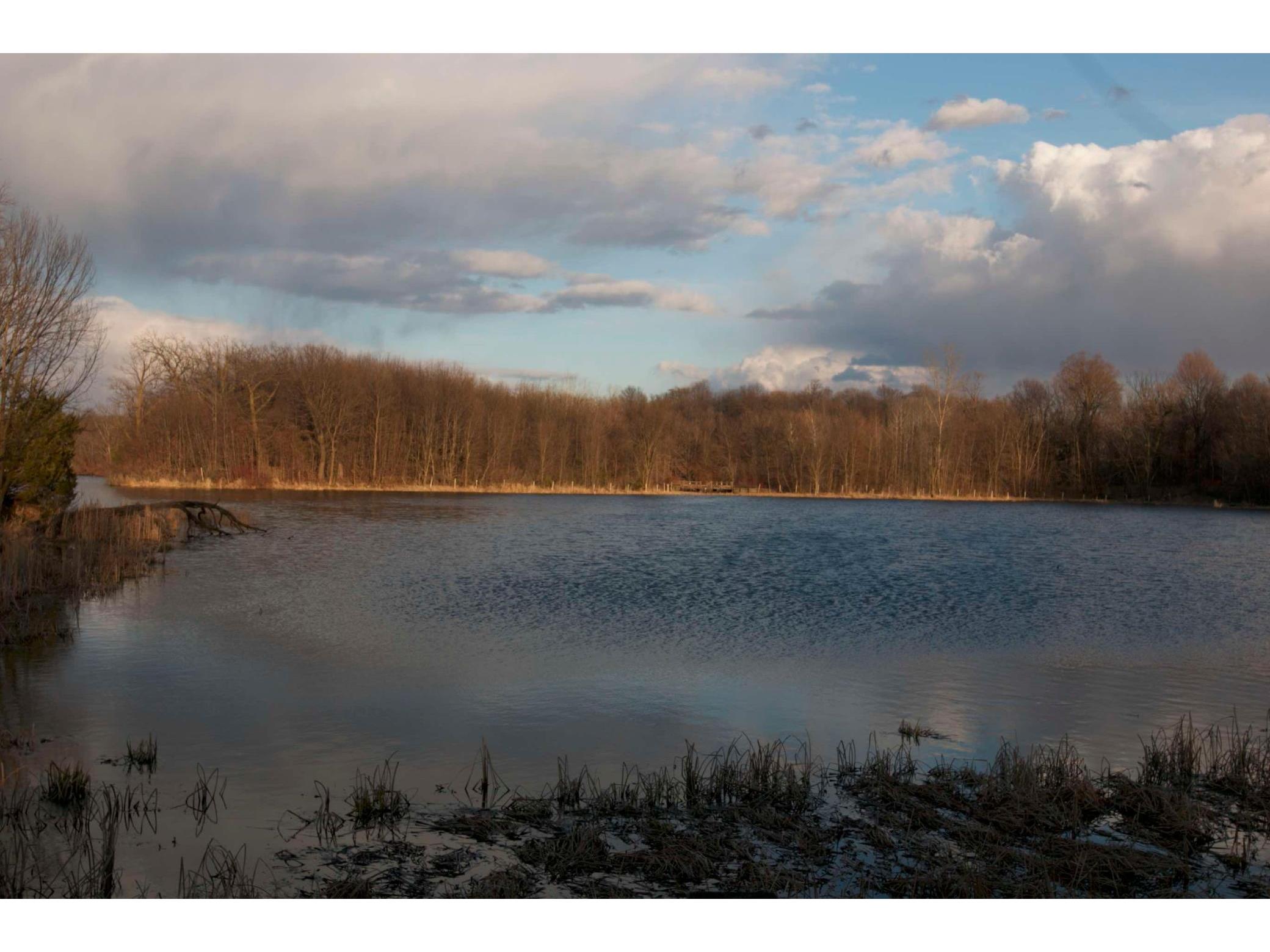 981 Peninsula Point Road Shakopee MN 55379 - O'Dowd 6161665 image16