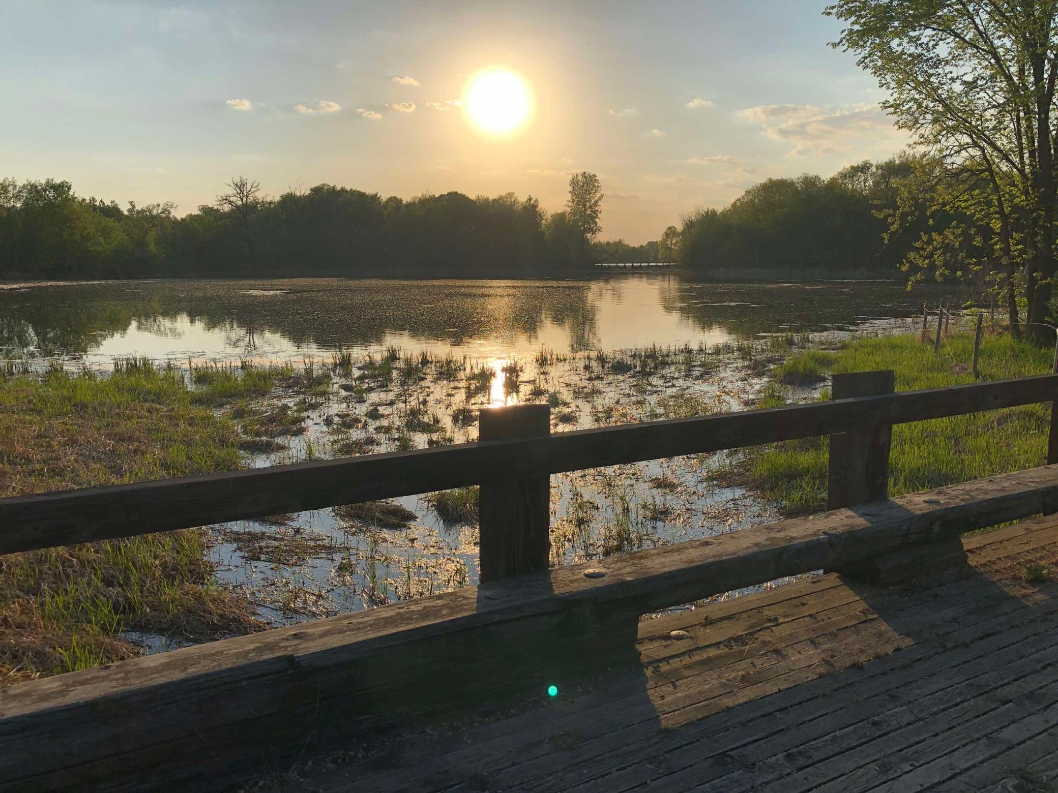 981 Peninsula Point Road Shakopee MN 55379 - O'Dowd 6161665 image17