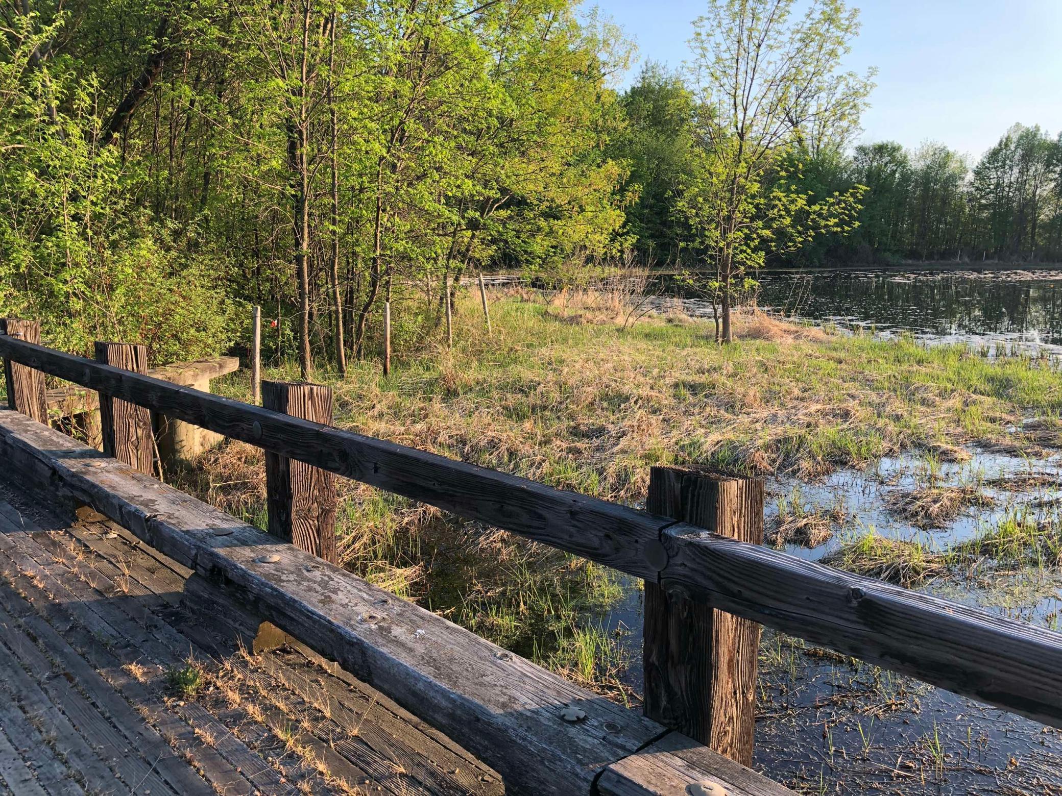 981 Peninsula Point Road Shakopee MN 55379 - O'Dowd 6161665 image18