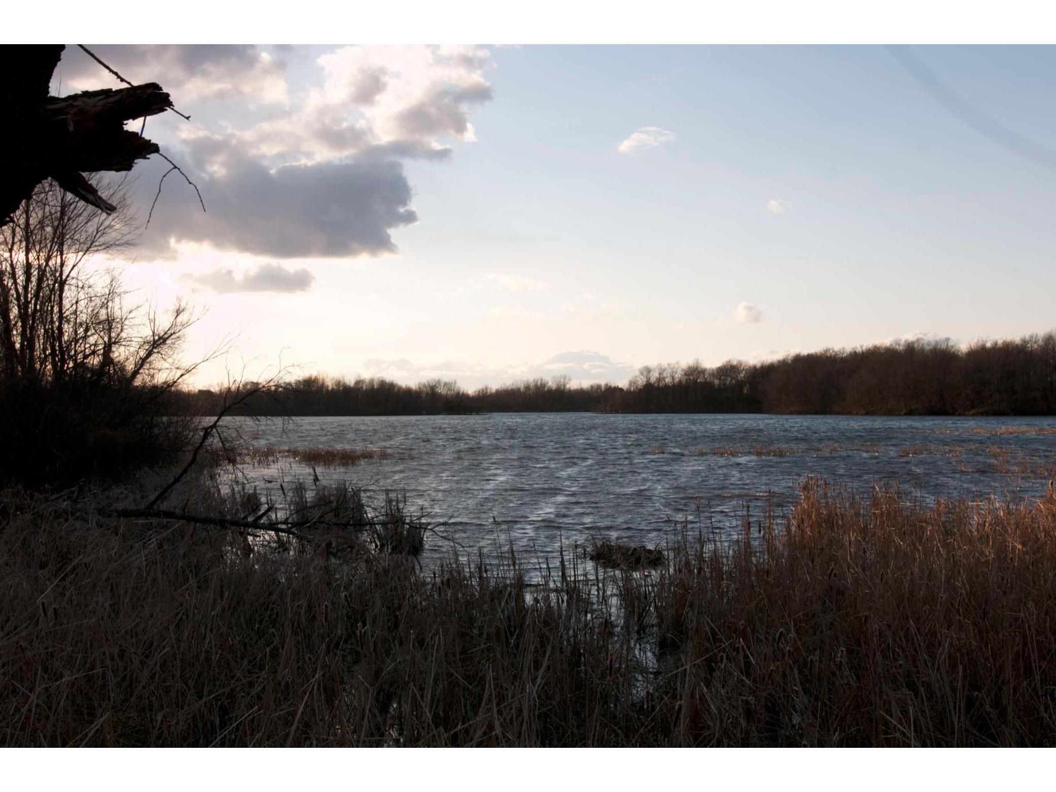 981 Peninsula Point Road Shakopee MN 55379 - O'Dowd 6161665 image23