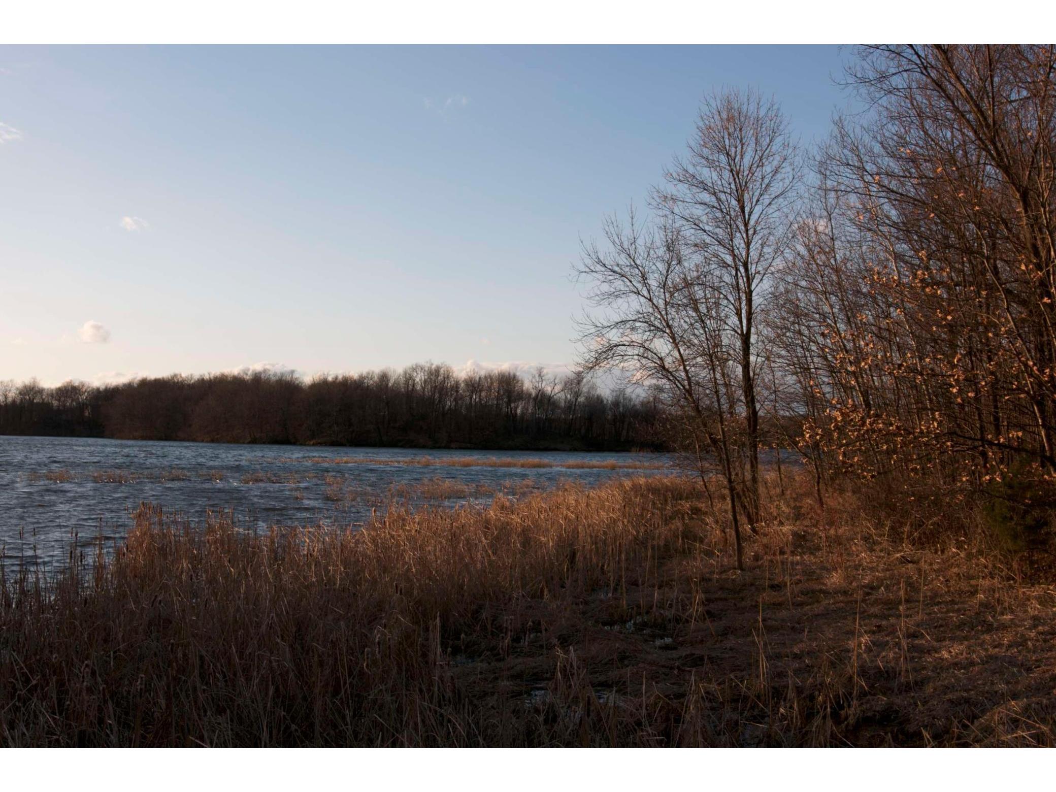 981 Peninsula Point Road Shakopee MN 55379 - O'Dowd 6161665 image25