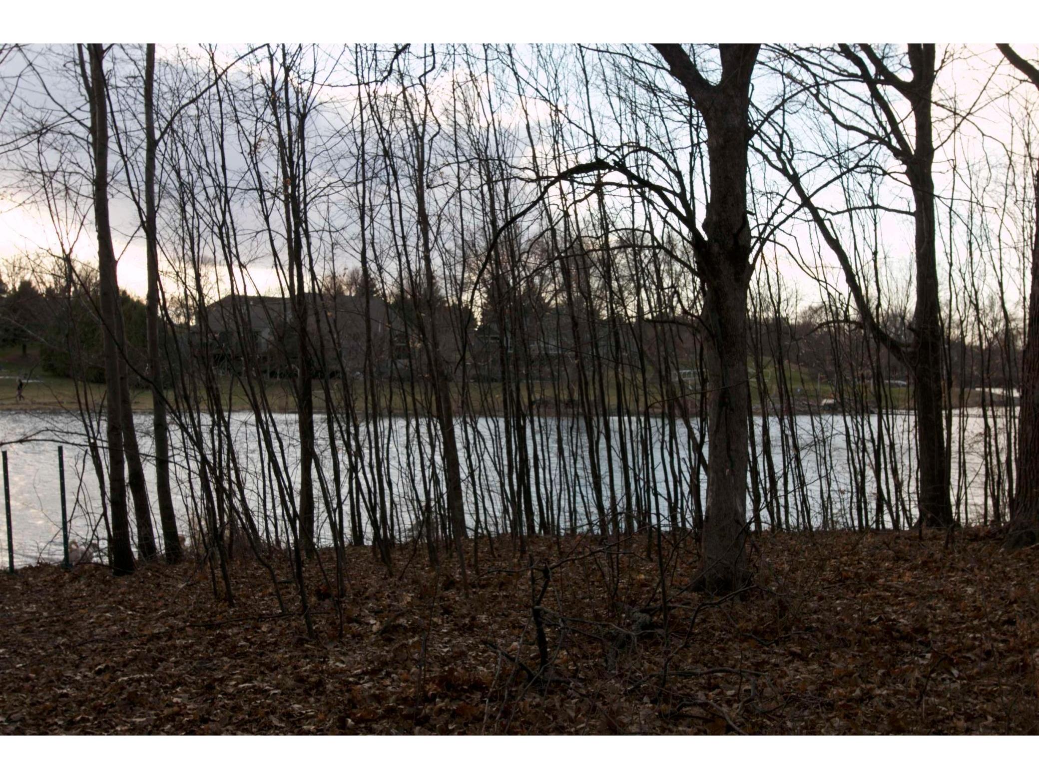 981 Peninsula Point Road Shakopee MN 55379 - O'Dowd 6161665 image26