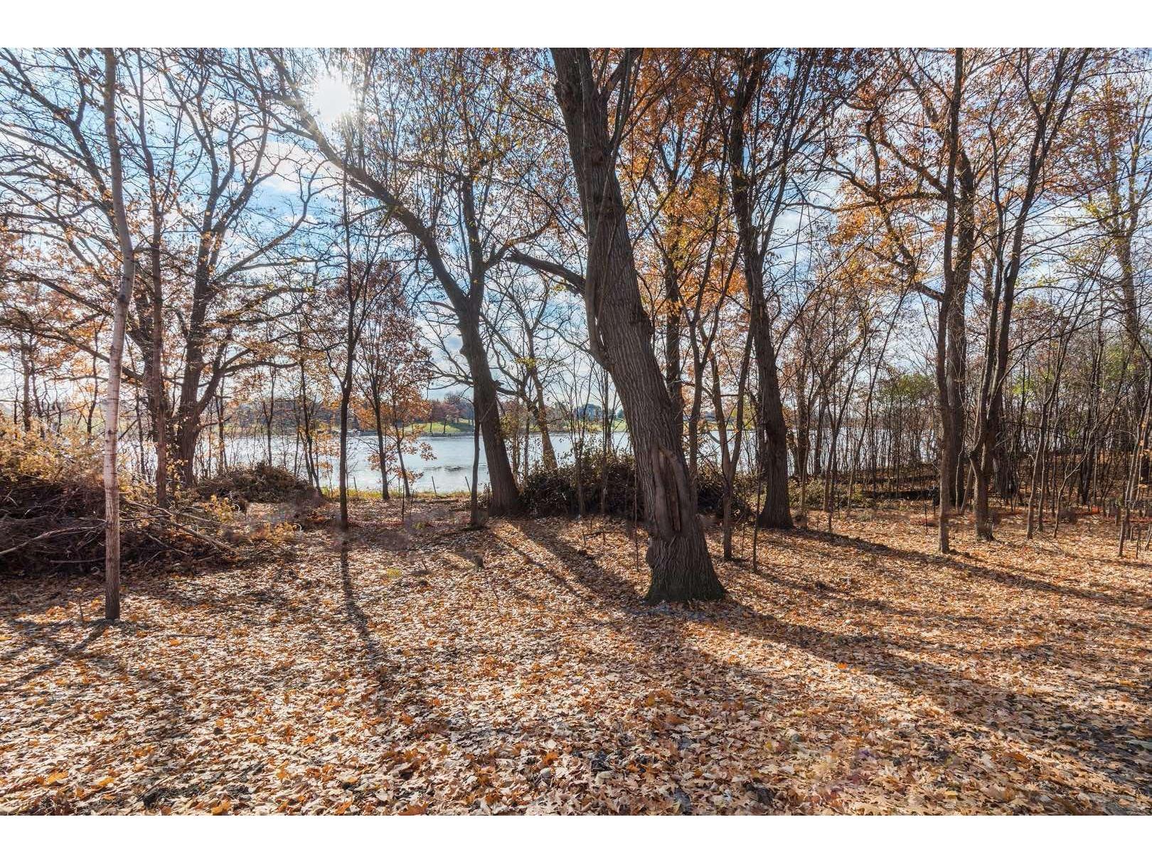 981 Peninsula Point Road Shakopee MN 55379 - O'Dowd 6161665 image28