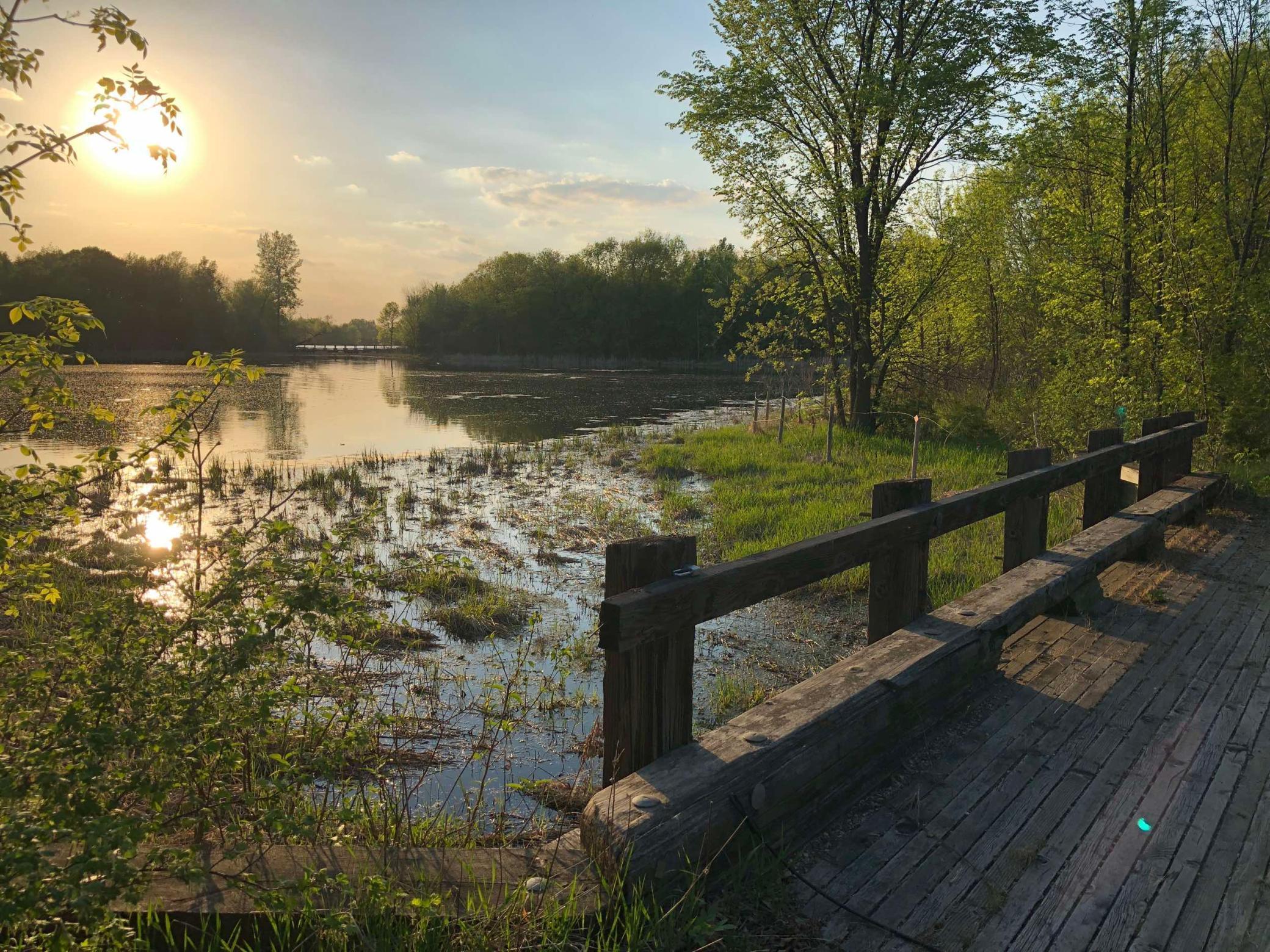 981 Peninsula Point Road Shakopee MN 55379 - O'Dowd 6161665 image7