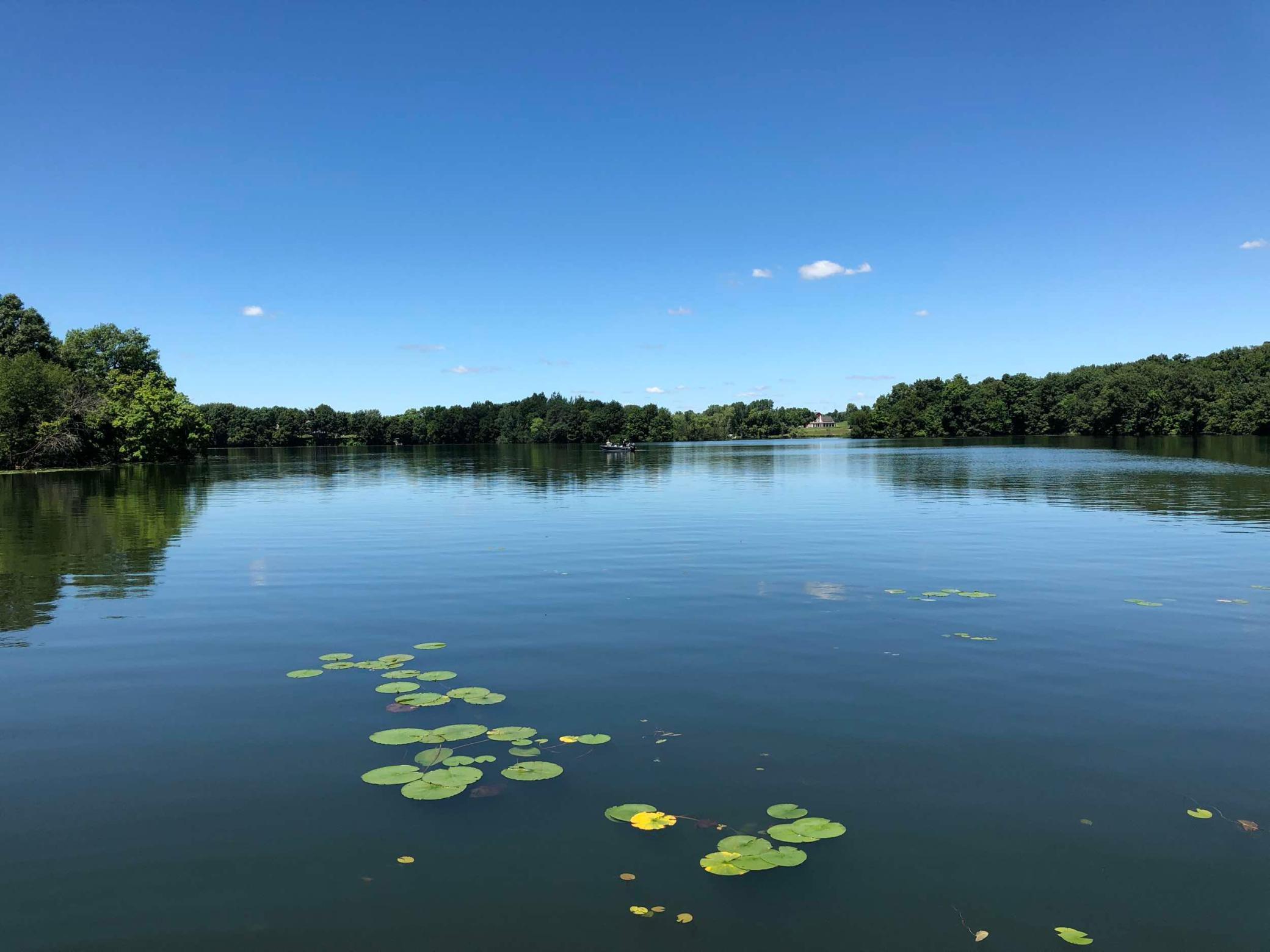 981 Peninsula Point Road Shakopee MN 55379 - O'Dowd 6161665 image8