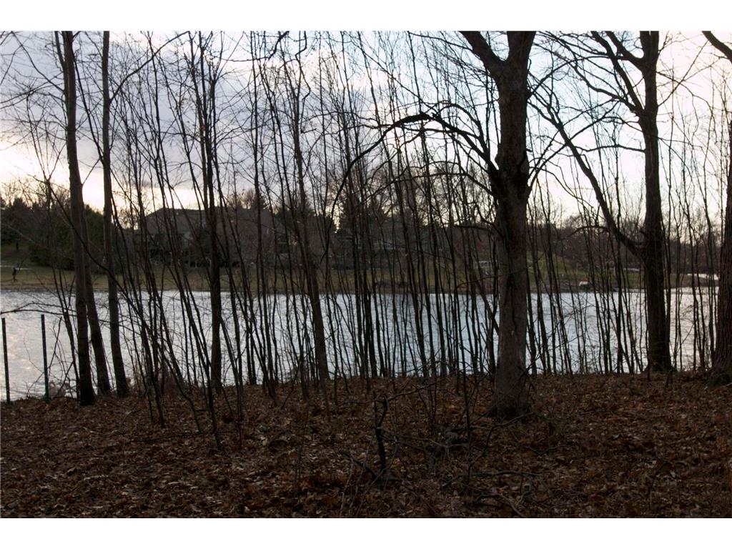 981 Peninsula Point Road Shakopee MN 55379 - O'Dowd 7043256 image11