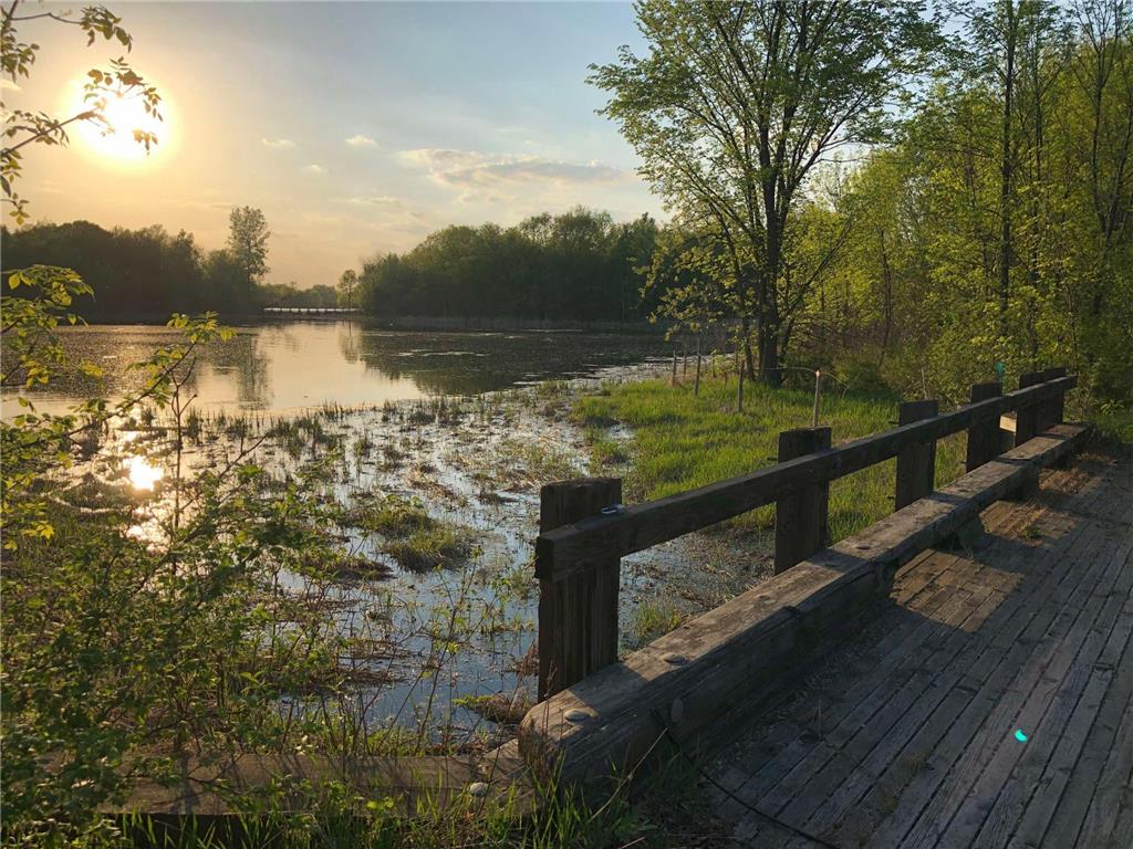 981 Peninsula Point Road Shakopee MN 55379 - O'Dowd 7043256 image5
