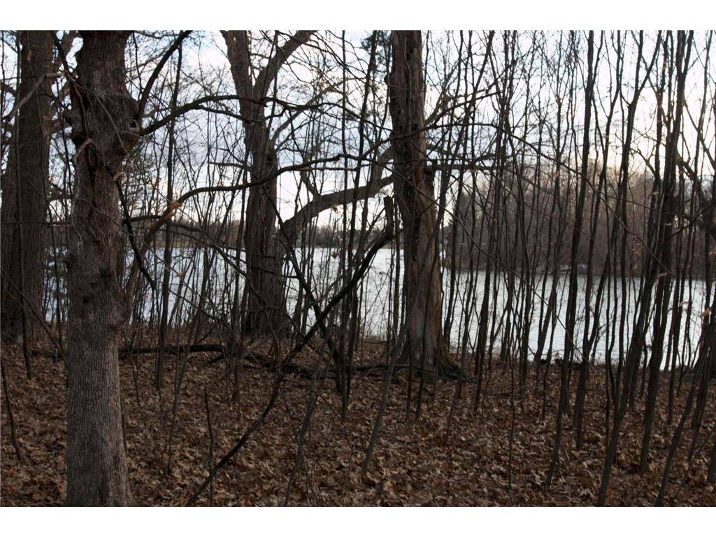 981 Peninsula Point Road Shakopee MN 55379 - O'Dowd 7043298 image21