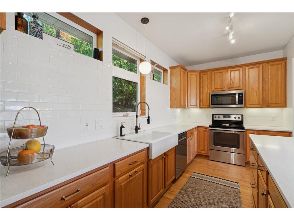 9816 Cove Drive Minnetonka MN 55305 - Minnehaha Marsh 6814528 image20