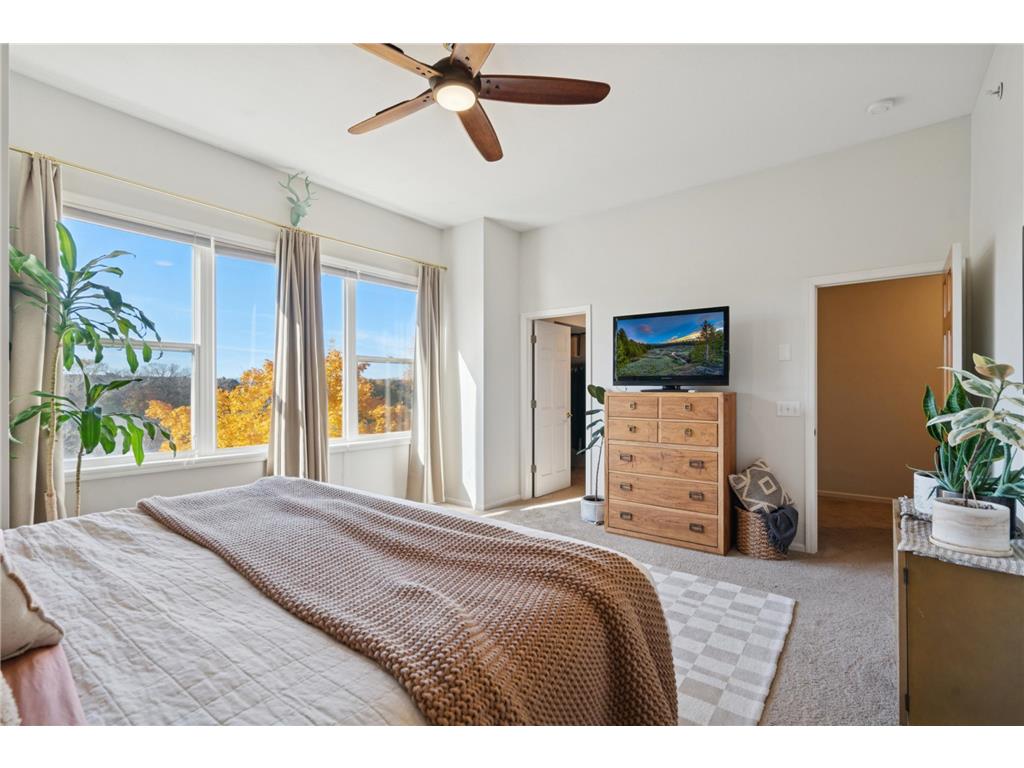 9816 Cove Drive Minnetonka MN 55305 - Minnehaha Marsh 6814528 image22