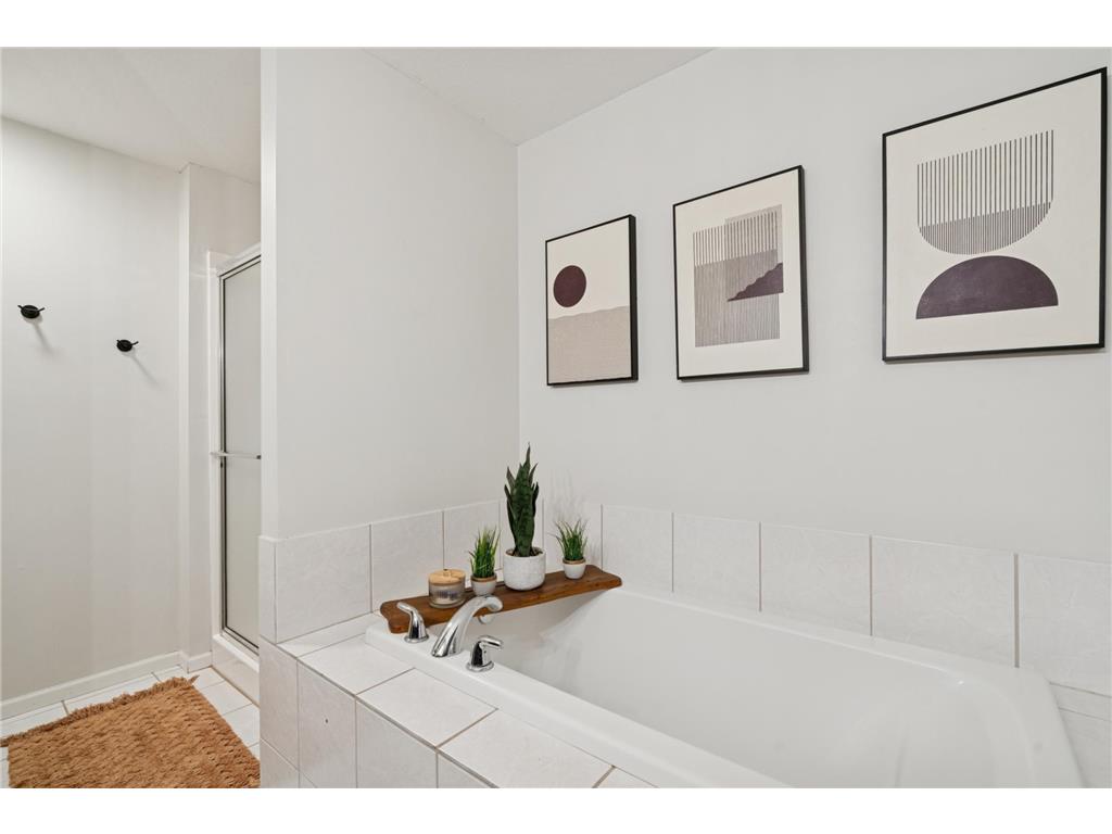 9816 Cove Drive Minnetonka MN 55305 - Minnehaha Marsh 6814528 image25