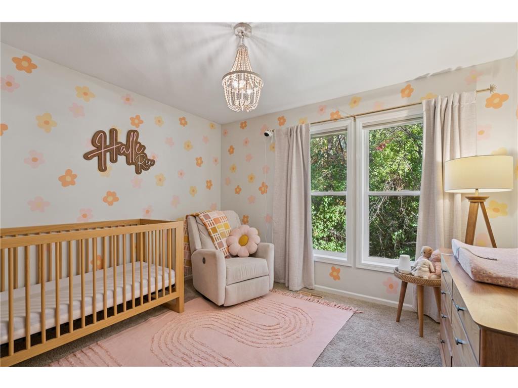 9816 Cove Drive Minnetonka MN 55305 - Minnehaha Marsh 6814528 image28