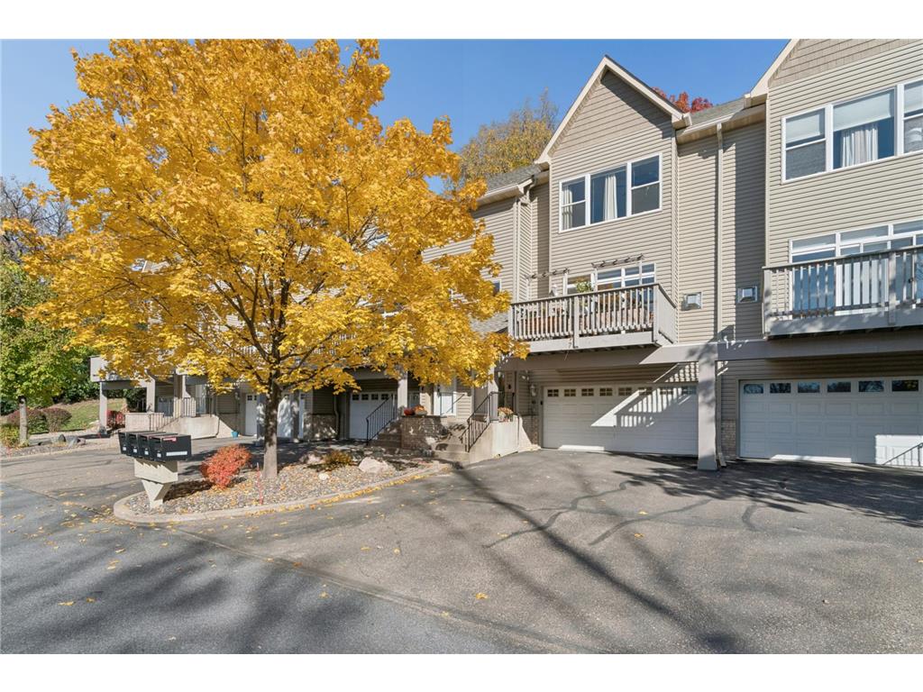 9816 Cove Drive Minnetonka MN 55305 - Minnehaha Marsh 6814528 image3