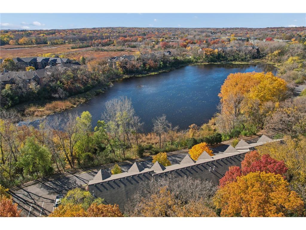 9816 Cove Drive Minnetonka MN 55305 - Minnehaha Marsh 6814528 image6