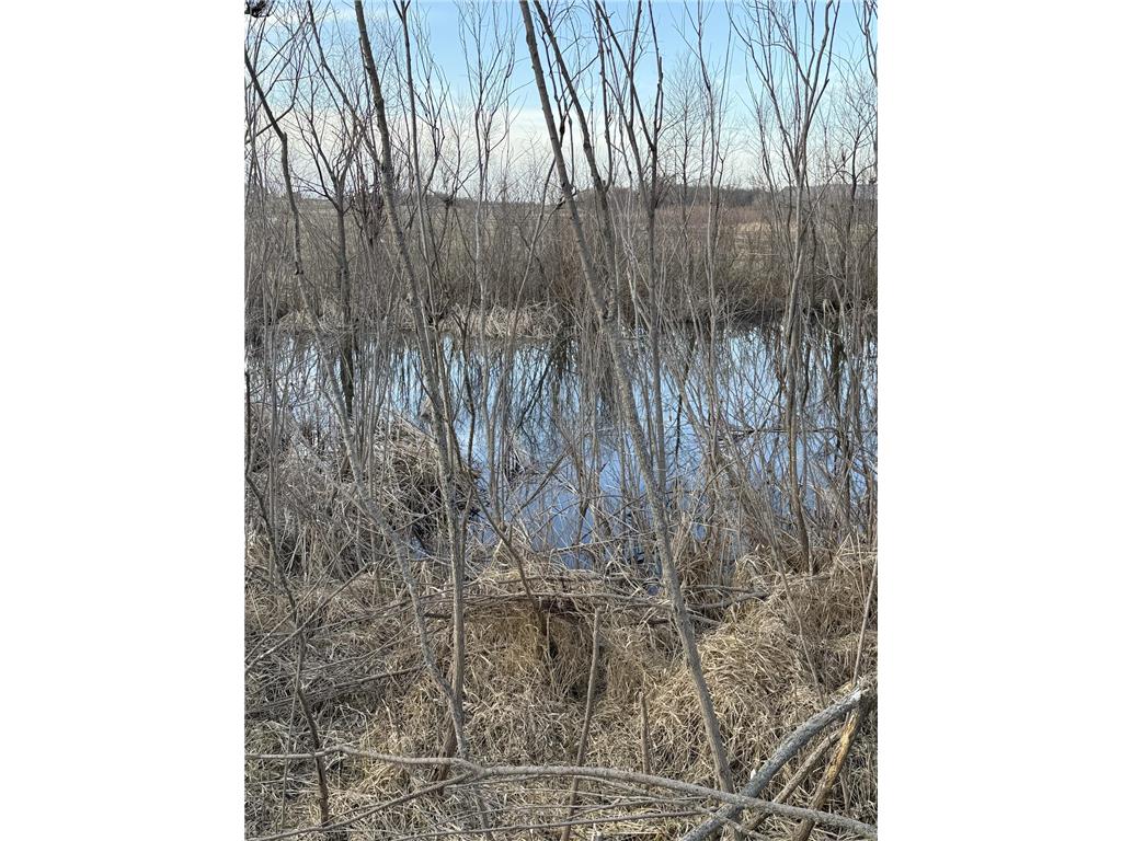982 County Road 10 NE Osakis MN 56360 7082279 image7