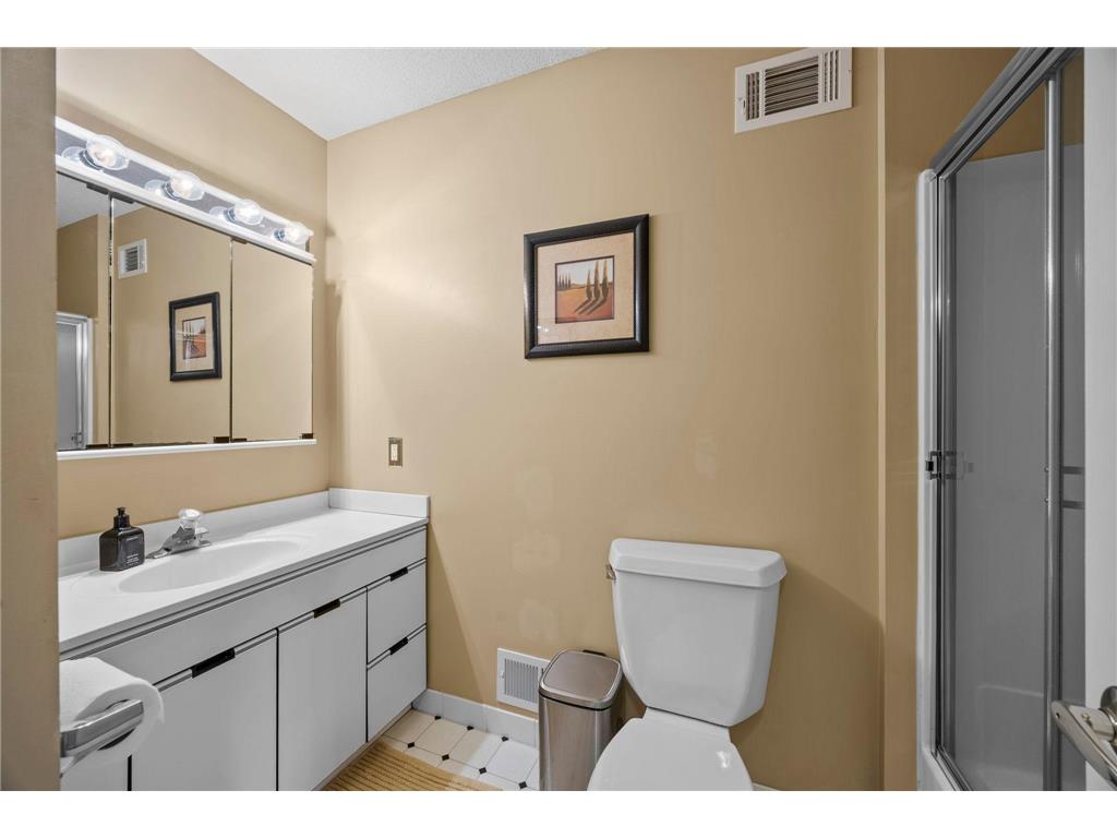 9820 Deerbrook Drive Chanhassen MN 55317 7049373 image33