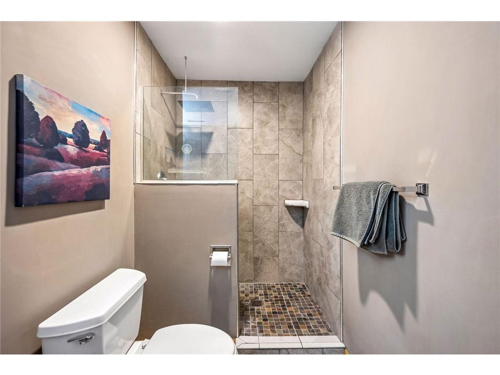 9820 High Bluff Lane Corcoran MN 55340 7063720 image24