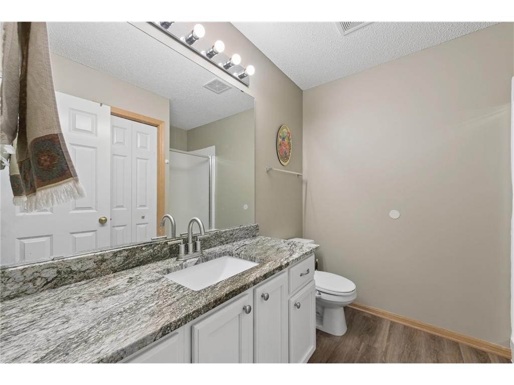9821 Zinnia Lane N Maple Grove MN 55369 7041924 image18