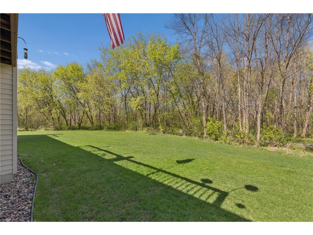 9821 Zinnia Lane N Maple Grove MN 55369 7041924 image23