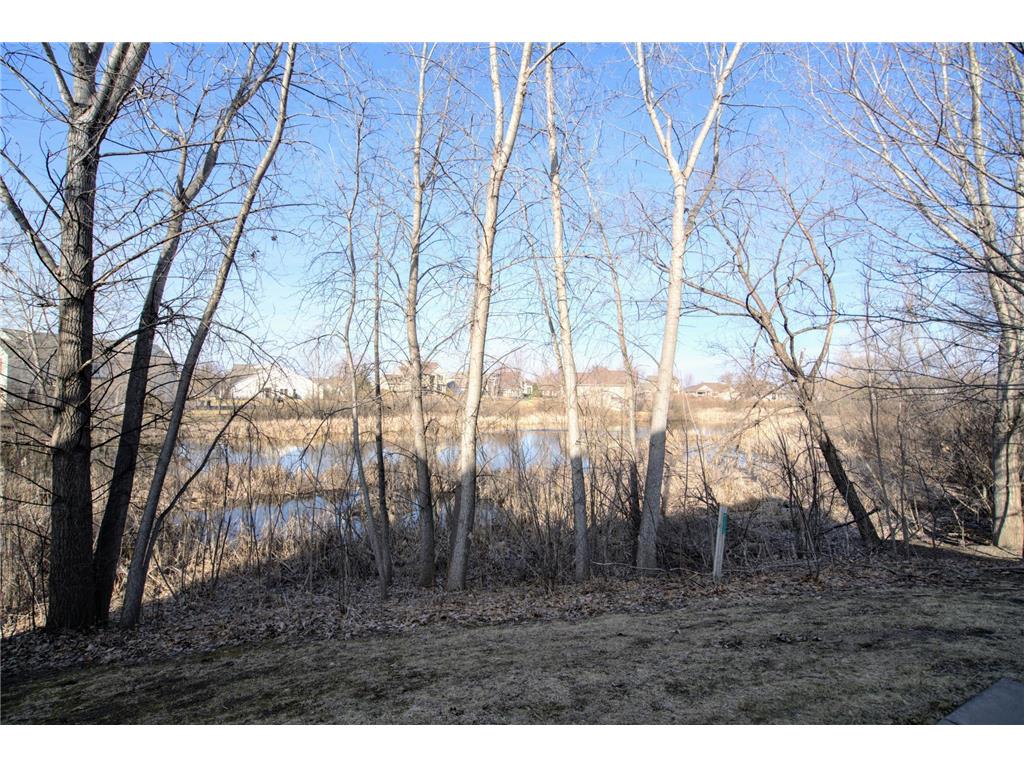 9843 Vagabond Lane N Maple Grove MN 55311 7038591 image18