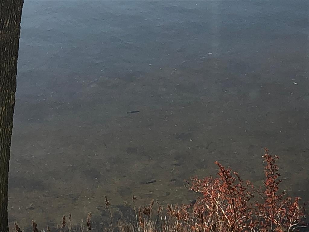 9849 Maple Ridge Road Garrison Twp MN 56450 - Borden 7046682 image32