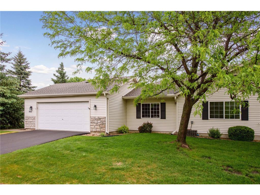 985 Carriage Hills Drive Chaska MN 55318 6721809 image1