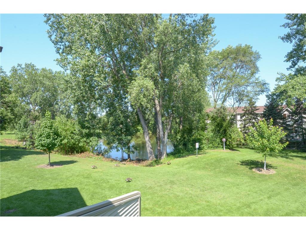 9860 Palm Street NW Coon Rapids MN 55433 7024423 image17