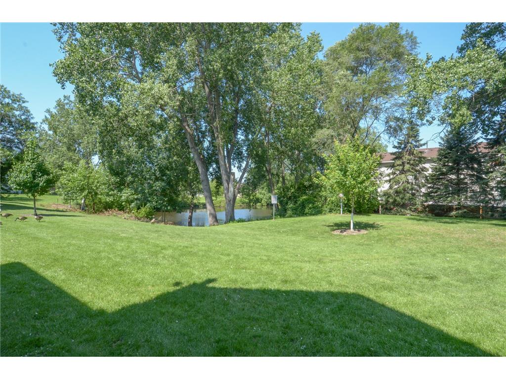 9860 Palm Street NW Coon Rapids MN 55433 7024423 image5