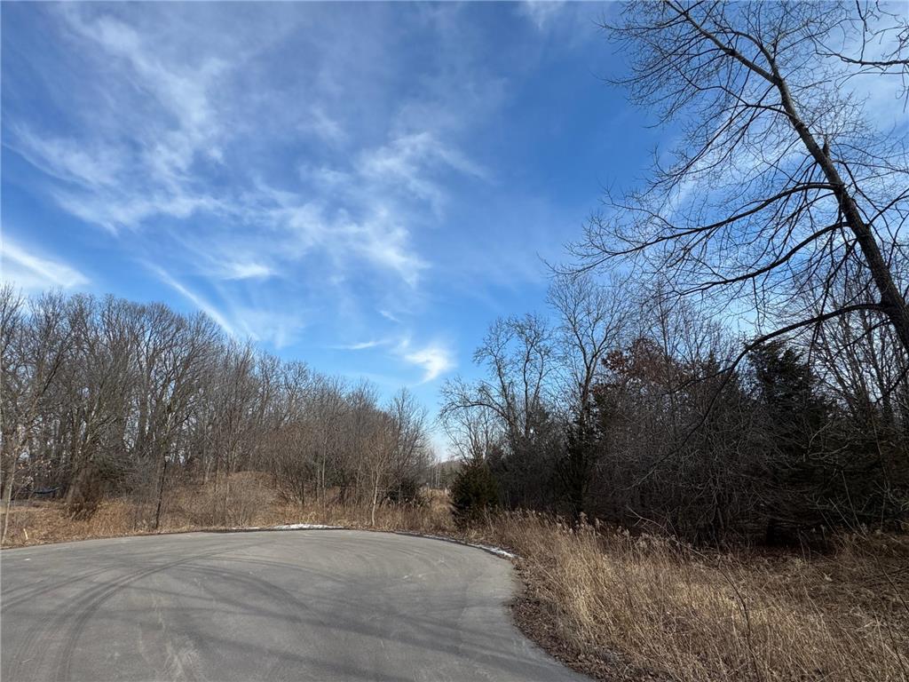 9865 Raspberry Hill Chanhassen MN 55318 6678954 image1