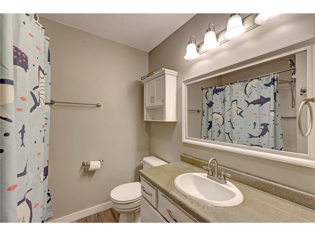 987 11th Avenue SW Forest Lake MN 55025 7060617 image31