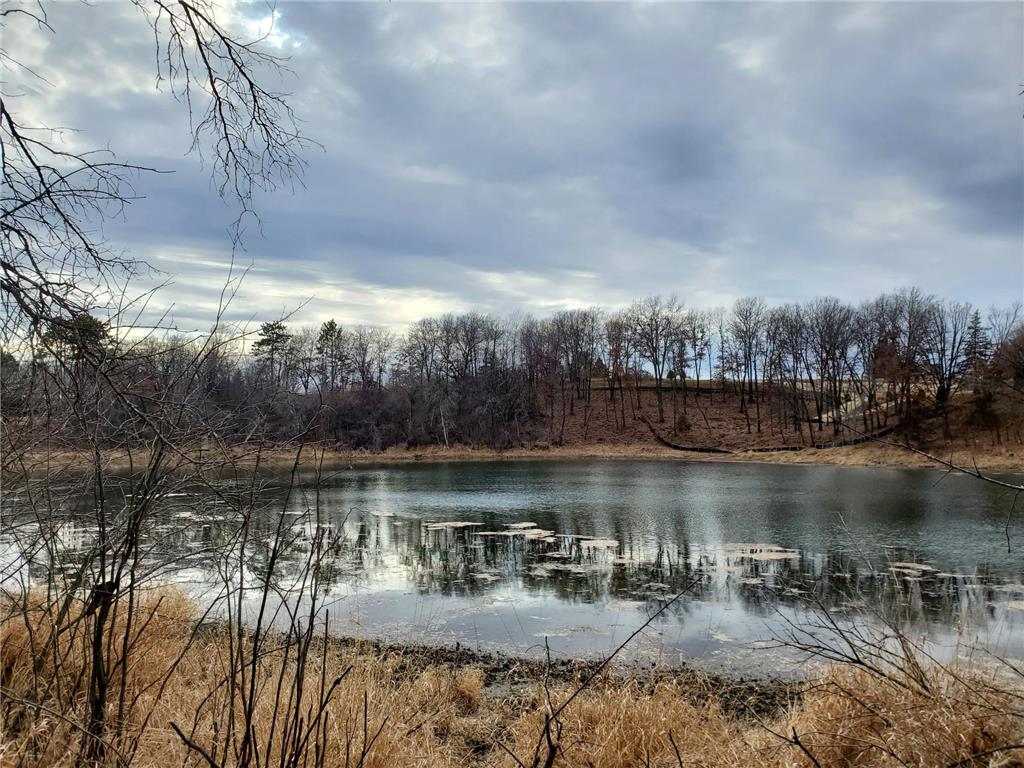 987 Moon Glow Road Hudson WI 54016 - Shank Lake 7027591 image15