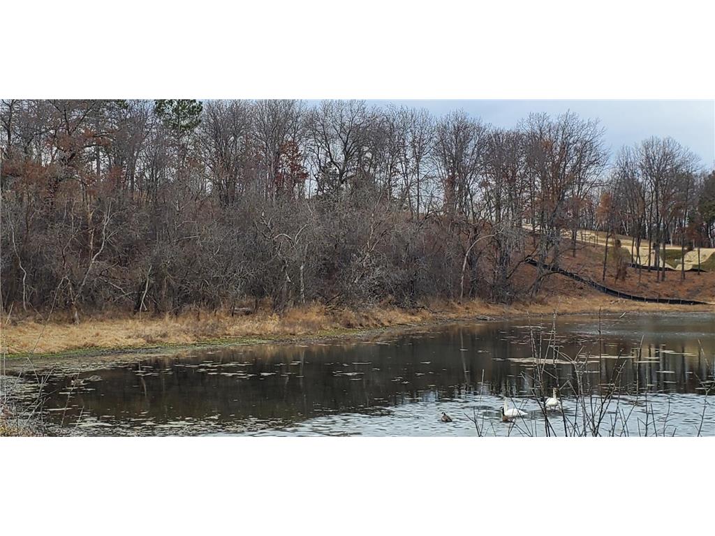 987 Moon Glow Road Hudson WI 54016 - Shank Lake 7027591 image16