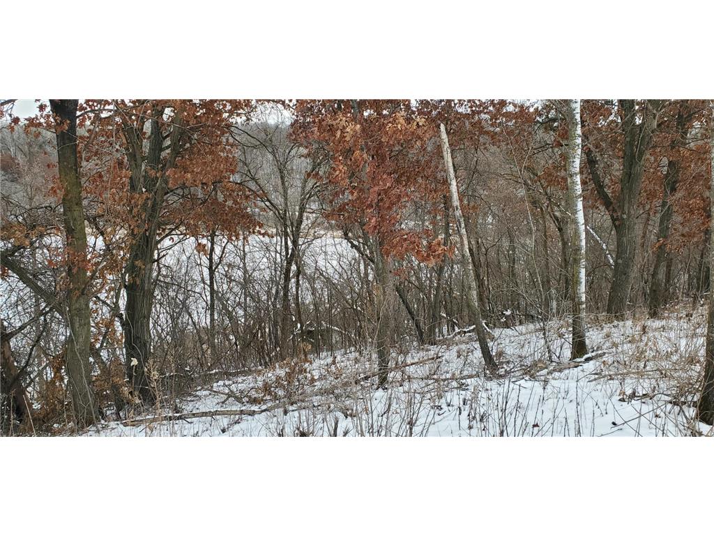 987 Moon Glow Road Hudson WI 54016 - Shank Lake 7027591 image4