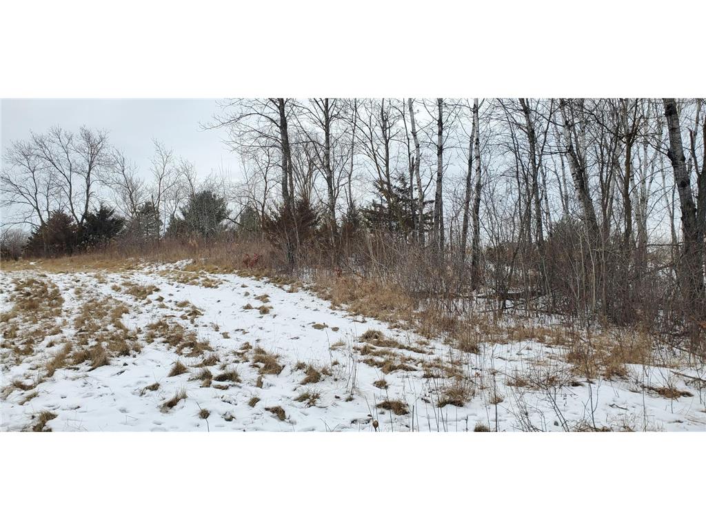 987 Moon Glow Road Hudson WI 54016 - Shank Lake 7027591 image8