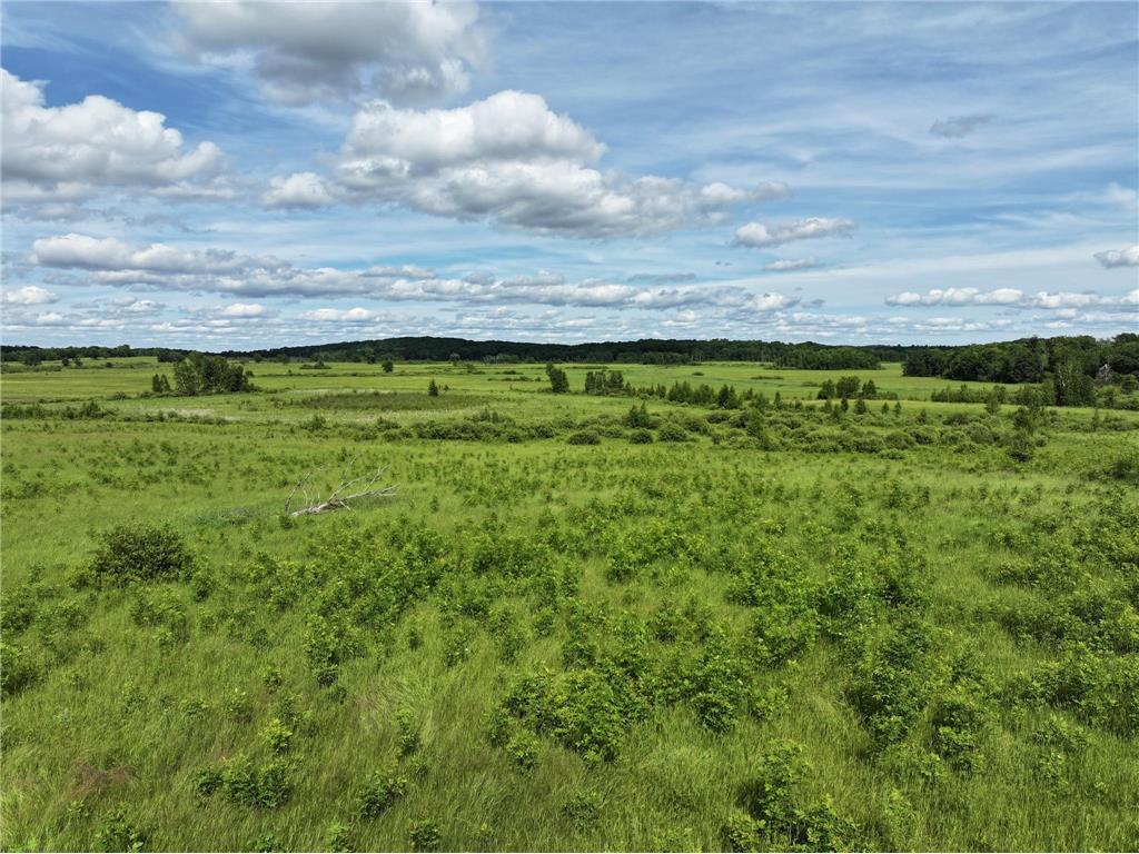 9884 County Road 1 SW Pequot Lakes MN 56472 7019522 image2