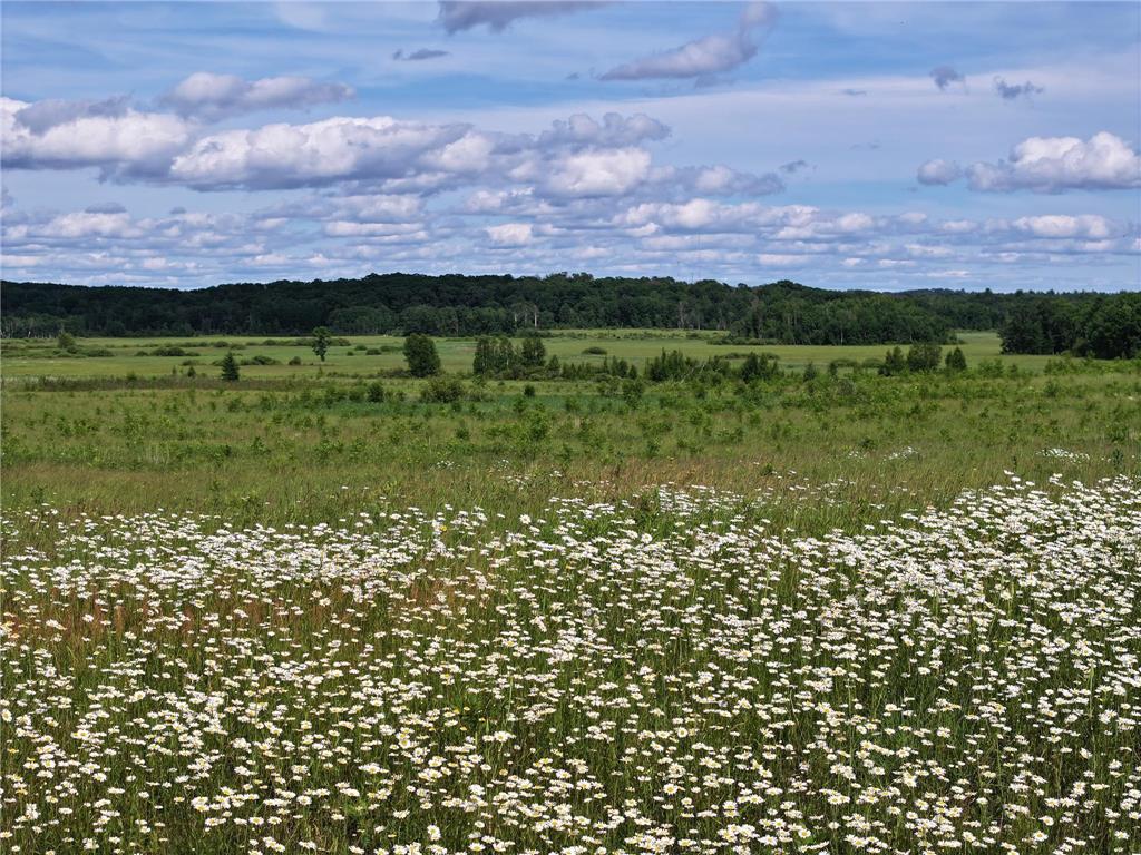 9884 County Road 1 SW Pequot Lakes MN 56472 7019522 image4