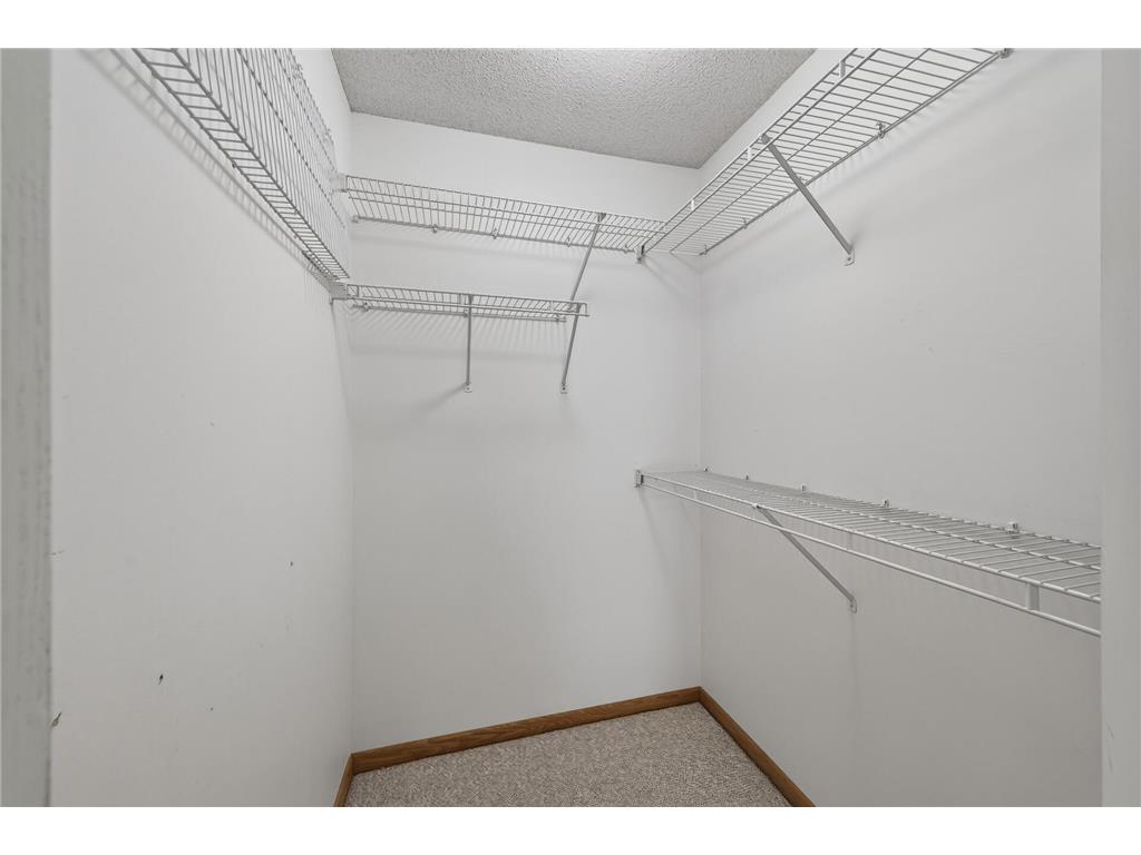 9887 Tamarack Cove Woodbury MN 55125 7041213 image9