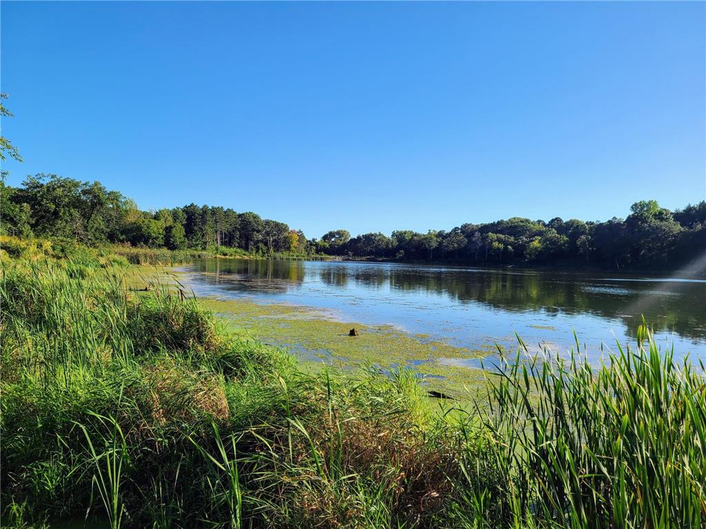 9890 Upper 89th Street S Cottage Grove MN 55016 7049260 image35