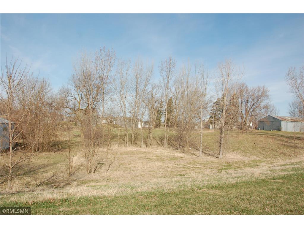 990 Bur Oak Lane Watertown MN 55388 6703466 image4