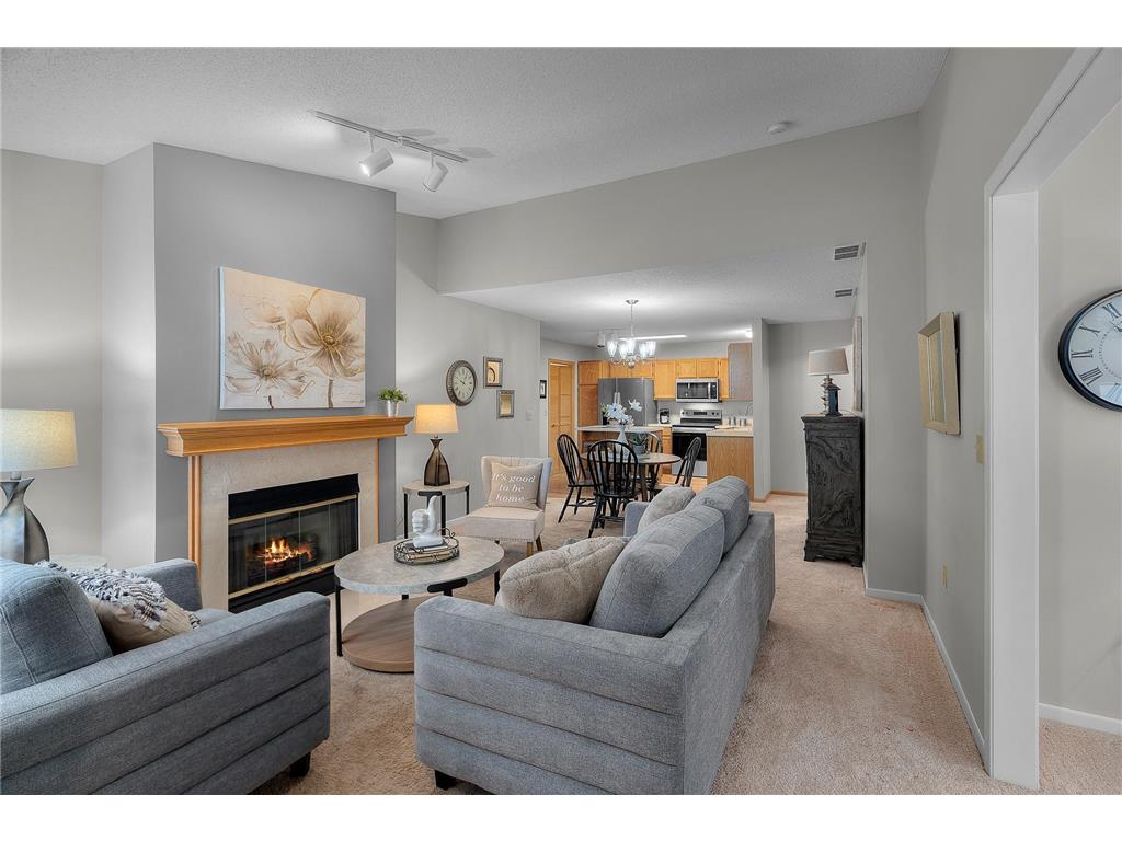 9909 Tamarack Cove Woodbury MN 55125 7009404 image1