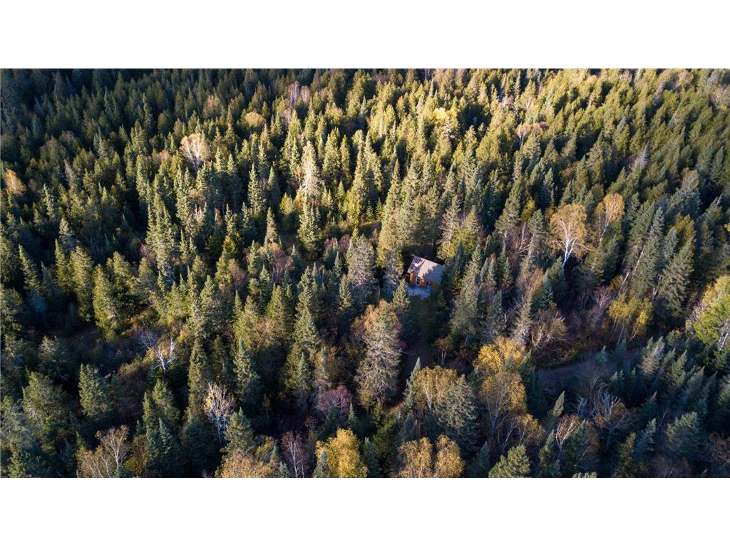 991 Ward Lake Road Lutsen MN 55612 - Bigsby 6803118 image3