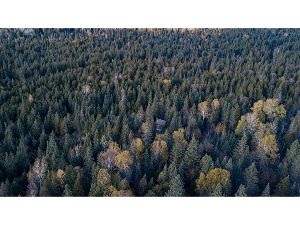 991 Ward Lake Road Lutsen MN 55612 - Bigsby 6803118 image32