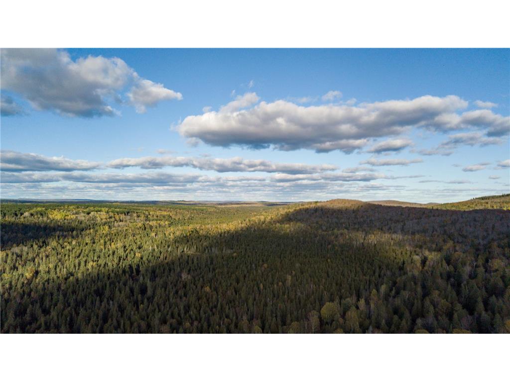 991 Ward Lake Road Lutsen MN 55612 - Bigsby 6803118 image33