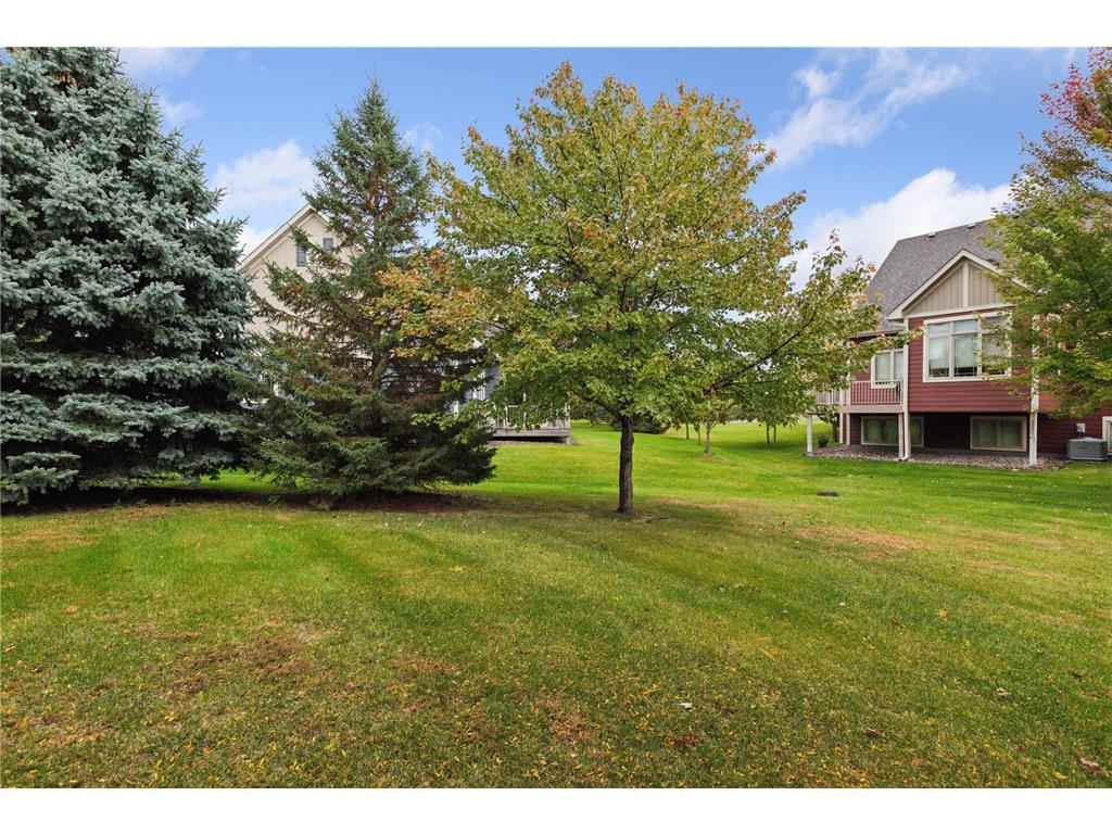 9919 Colorado Lane N Brooklyn Park MN 55445 6780357 image43