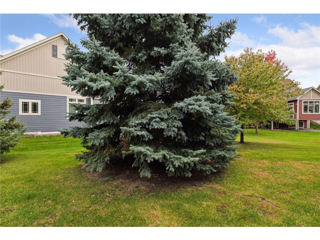 9919 Colorado Lane N Brooklyn Park MN 55445 6780357 image44