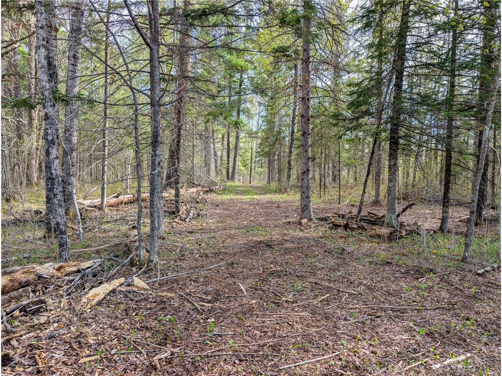992 Nemadji River Road Holyoke Twp MN 55749 - Nemadji River 7078635 image10